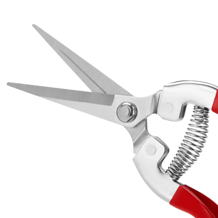 قیچی میوه چینی رونیکس مدل RH-3150